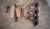 Выпускной коллектор, с катализатором и футоркой под Лямбда-зонд, Z16XER, Z18XER, б/у.